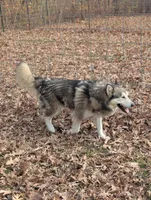 processed/458c57df-74b9-4150-9c81-c295c90c9cf9/listing/0fb9ddf5-69cf-4893-a173-6ab855100a1b/146598c4-c098-4533-ba0c-810bb5da8e6b