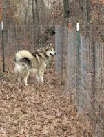 processed/458c57df-74b9-4150-9c81-c295c90c9cf9/listing/0fb9ddf5-69cf-4893-a173-6ab855100a1b/86853961-c418-49d9-9066-bc821dcdd8b6