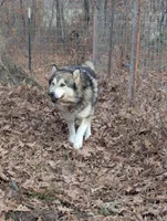 processed/458c57df-74b9-4150-9c81-c295c90c9cf9/listing/0fb9ddf5-69cf-4893-a173-6ab855100a1b/fb8bf507-6b9f-4b08-8e71-06be337071cd