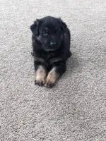 processed/458c57df-74b9-4150-9c81-c295c90c9cf9/listing/8b780ca7-dcc4-4e59-aa02-1087a6c73ed7/311f9f73-7202-4434-8d84-5ad802649e34