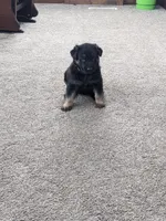 processed/458c57df-74b9-4150-9c81-c295c90c9cf9/listing/8b780ca7-dcc4-4e59-aa02-1087a6c73ed7/3998416a-e2ab-4f4a-bcae-29edda2eaf75