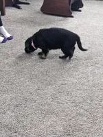 processed/458c57df-74b9-4150-9c81-c295c90c9cf9/listing/8b780ca7-dcc4-4e59-aa02-1087a6c73ed7/6676f828-4688-4483-af57-ad47bc09f691