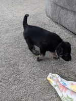 processed/458c57df-74b9-4150-9c81-c295c90c9cf9/listing/8b780ca7-dcc4-4e59-aa02-1087a6c73ed7/e5d29b1a-b0aa-443f-baaa-54a946ccaa64