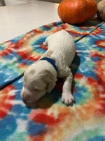 processed/458e8b57-6ab5-425d-b549-1fd84a6a33cc/listing/aed133fe-7d4b-4de0-9823-08b9216fba43/0922e045-551e-4887-bca2-102170c0e87d