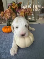 processed/458e8b57-6ab5-425d-b549-1fd84a6a33cc/listing/aed133fe-7d4b-4de0-9823-08b9216fba43/39ee8634-a109-44d4-b432-19abe70b1012