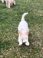 processed/458e8b57-6ab5-425d-b549-1fd84a6a33cc/listing/aed133fe-7d4b-4de0-9823-08b9216fba43/63bcbe62-c3d0-4cef-be7c-1e62c3d72bb1