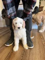 processed/458e8b57-6ab5-425d-b549-1fd84a6a33cc/listing/aed133fe-7d4b-4de0-9823-08b9216fba43/7e963c43-2b42-4d34-a6fc-d6061e8b36fe