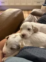 processed/458e8b57-6ab5-425d-b549-1fd84a6a33cc/listing/aed133fe-7d4b-4de0-9823-08b9216fba43/fc34841a-dcf2-4950-8e96-73c6fe2a5c92