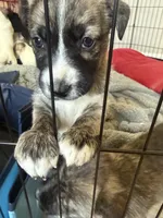 processed/4594f7c8-39df-42b7-bc0e-2767022514b2/listing/8fdb8d50-7a01-497c-a596-68bb0313c923/a034b3c3-c800-4069-a655-303737655341