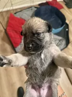 processed/4594f7c8-39df-42b7-bc0e-2767022514b2/listing/af8801ee-6595-4907-b570-64b9b28c4a70/104a9077-5f0f-46ed-8165-72b1eeabc004