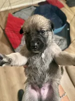 processed/4594f7c8-39df-42b7-bc0e-2767022514b2/listing/af8801ee-6595-4907-b570-64b9b28c4a70/9f6a4a11-b098-425a-b049-6c3ec2651caf