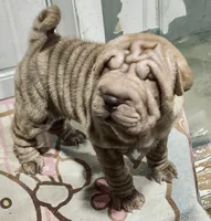 processed/4595ff78-4695-4799-bbc8-9193d70587b2/listing/109f72c2-44dc-4fc6-8a9a-034a574693b3/04eb4608-ab82-44b1-a76e-13014a9f5d4a