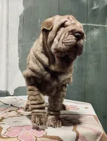 processed/4595ff78-4695-4799-bbc8-9193d70587b2/listing/109f72c2-44dc-4fc6-8a9a-034a574693b3/20ee6d59-f1b8-4d6a-a915-7ef4eb1cc3ff