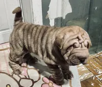 processed/4595ff78-4695-4799-bbc8-9193d70587b2/listing/109f72c2-44dc-4fc6-8a9a-034a574693b3/753549fd-3f5f-4eef-a1fd-1759adca5c22