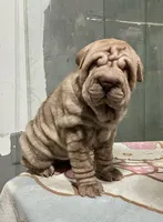 processed/4595ff78-4695-4799-bbc8-9193d70587b2/listing/109f72c2-44dc-4fc6-8a9a-034a574693b3/8e3992cc-9d51-4e87-a1ff-81b7ec8eb26a