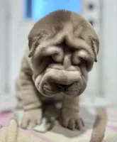 processed/4595ff78-4695-4799-bbc8-9193d70587b2/listing/2cabaad9-2bdd-40c3-bdb9-d815f960397d/2cf4a65f-93b1-4b07-a3da-4e7ca9994b26