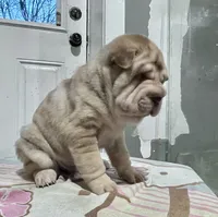 processed/4595ff78-4695-4799-bbc8-9193d70587b2/listing/2cabaad9-2bdd-40c3-bdb9-d815f960397d/3f8c070d-92db-49d5-a553-dc4168c2e6c6