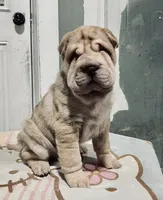 processed/4595ff78-4695-4799-bbc8-9193d70587b2/listing/2cabaad9-2bdd-40c3-bdb9-d815f960397d/78d05534-e8eb-4db4-9a51-28165905714d