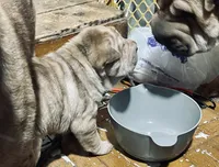 processed/4595ff78-4695-4799-bbc8-9193d70587b2/listing/2cabaad9-2bdd-40c3-bdb9-d815f960397d/7f9f36e6-093e-4411-bb73-ea38fb1d2e0b