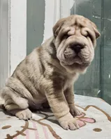 processed/4595ff78-4695-4799-bbc8-9193d70587b2/listing/2cabaad9-2bdd-40c3-bdb9-d815f960397d/9bffb520-1d62-479e-bc05-9ebe9c34d13e