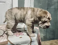 processed/4595ff78-4695-4799-bbc8-9193d70587b2/listing/2cabaad9-2bdd-40c3-bdb9-d815f960397d/b5aaec1a-ae54-45fe-ac09-0975f8bf3e18