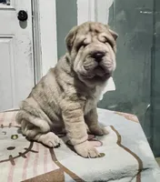 processed/4595ff78-4695-4799-bbc8-9193d70587b2/listing/2cabaad9-2bdd-40c3-bdb9-d815f960397d/ca235207-a17c-4483-8e48-6150853d94cf