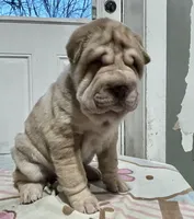 processed/4595ff78-4695-4799-bbc8-9193d70587b2/listing/2cabaad9-2bdd-40c3-bdb9-d815f960397d/f3140960-5f3c-498b-bedf-44747ea968e8