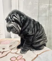 processed/4595ff78-4695-4799-bbc8-9193d70587b2/listing/332577f6-0f3d-4019-bf16-79e609e7175d/2459302d-f581-4714-831d-6a6203e407bf