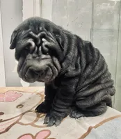 processed/4595ff78-4695-4799-bbc8-9193d70587b2/listing/332577f6-0f3d-4019-bf16-79e609e7175d/67932326-cad2-4f35-b644-cc8fd4e5f3eb