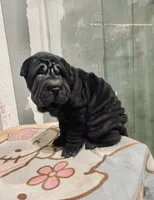 processed/4595ff78-4695-4799-bbc8-9193d70587b2/listing/332577f6-0f3d-4019-bf16-79e609e7175d/c56d6f33-d470-47cc-8432-6e0199ba9294