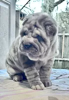 processed/4595ff78-4695-4799-bbc8-9193d70587b2/listing/9fcf0a16-65ed-4efa-b98c-72689229bded/044a29f3-2313-4157-9178-ff38c5195473