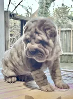 processed/4595ff78-4695-4799-bbc8-9193d70587b2/listing/9fcf0a16-65ed-4efa-b98c-72689229bded/0d628d90-fb1f-4691-860e-7911521568d4