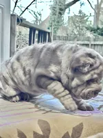 processed/4595ff78-4695-4799-bbc8-9193d70587b2/listing/9fcf0a16-65ed-4efa-b98c-72689229bded/6d04faee-c5f1-4c24-b718-7c93d6ff9844