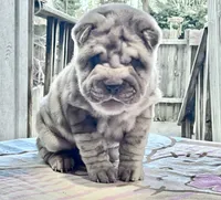 processed/4595ff78-4695-4799-bbc8-9193d70587b2/listing/9fcf0a16-65ed-4efa-b98c-72689229bded/71980ec1-ab9c-48f6-8104-b888d52db740