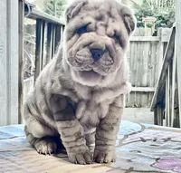 processed/4595ff78-4695-4799-bbc8-9193d70587b2/listing/9fcf0a16-65ed-4efa-b98c-72689229bded/a6fbe925-e3a4-4fe8-8bf1-d6f7c79a2034