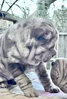 processed/4595ff78-4695-4799-bbc8-9193d70587b2/listing/9fcf0a16-65ed-4efa-b98c-72689229bded/e35f0a4d-9fad-4b4a-b1ab-6ca615c2b685