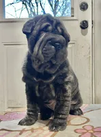 processed/4595ff78-4695-4799-bbc8-9193d70587b2/listing/d8abbbbb-fe61-4253-baf5-6c71704e95f1/0eda7e71-3926-470d-b32e-68860f6a0a5d