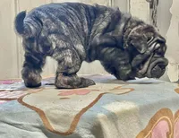 processed/4595ff78-4695-4799-bbc8-9193d70587b2/listing/d8abbbbb-fe61-4253-baf5-6c71704e95f1/19824bad-e91f-46d4-a99d-230105e403a6