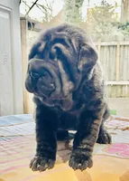 processed/4595ff78-4695-4799-bbc8-9193d70587b2/listing/d8abbbbb-fe61-4253-baf5-6c71704e95f1/4524f3a5-1221-4f73-a17f-a8be134ce613