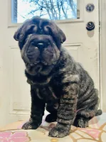 processed/4595ff78-4695-4799-bbc8-9193d70587b2/listing/d8abbbbb-fe61-4253-baf5-6c71704e95f1/d98001ad-c67f-4af1-87b7-4d55a076663d