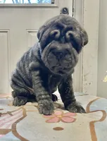 processed/4595ff78-4695-4799-bbc8-9193d70587b2/listing/d8abbbbb-fe61-4253-baf5-6c71704e95f1/e9e4fcfa-a656-40c2-b380-ab5b2b5cac22