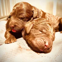 processed/4596937d-4e8a-47e7-906d-9ff7de59cbd6/facility/08480158-e55a-4504-917c-a34b18a9721e