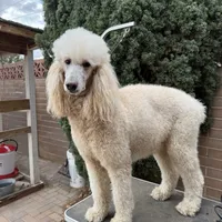 processed/4596937d-4e8a-47e7-906d-9ff7de59cbd6/facility/12c2f2d6-5e47-4e8a-a088-f29d5ae0470b