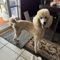 processed/4596937d-4e8a-47e7-906d-9ff7de59cbd6/facility/17f17a16-ae37-4f08-b5ea-36e5fc03b313