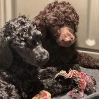 processed/4596937d-4e8a-47e7-906d-9ff7de59cbd6/facility/7460bb65-3b24-4582-8e22-b0d854f19f14