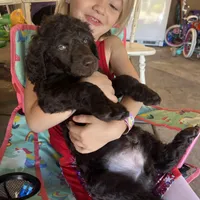 processed/4596937d-4e8a-47e7-906d-9ff7de59cbd6/facility/75dbe754-9f80-4fe5-ad62-7799fcd59889