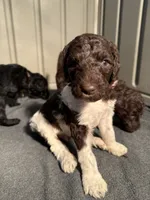 processed/4596937d-4e8a-47e7-906d-9ff7de59cbd6/facility/771b4eef-eb29-4acb-b973-0cdd87b84612