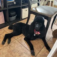 processed/4596937d-4e8a-47e7-906d-9ff7de59cbd6/facility/88dc10ce-9a0d-4a23-a084-a752a08fd5bf