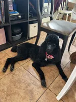 processed/4596937d-4e8a-47e7-906d-9ff7de59cbd6/facility/88dc10ce-9a0d-4a23-a084-a752a08fd5bf