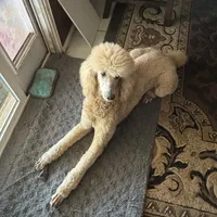 processed/4596937d-4e8a-47e7-906d-9ff7de59cbd6/facility/9303e2fc-081d-4209-8e01-a469e1b377b0